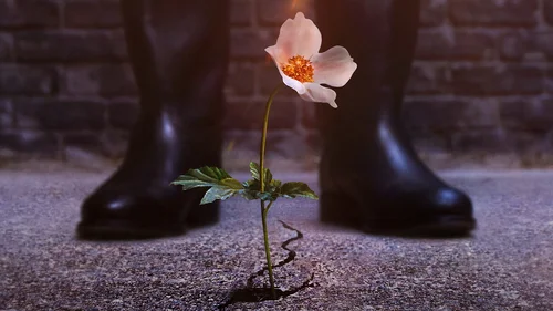 O Homem do Castelo Alto