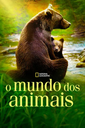O Mundo dos Animais - Temporada 1