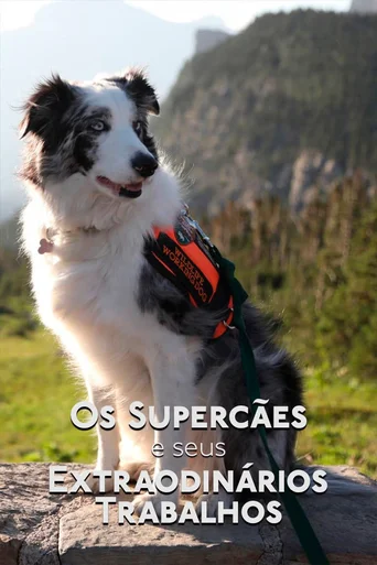 Os Supercães e Seus Extraordinários Trabalhos