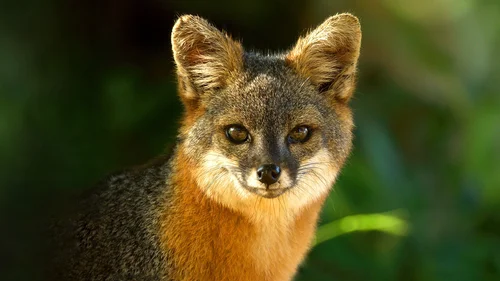 Parques Nacionais dos Estados Unidos