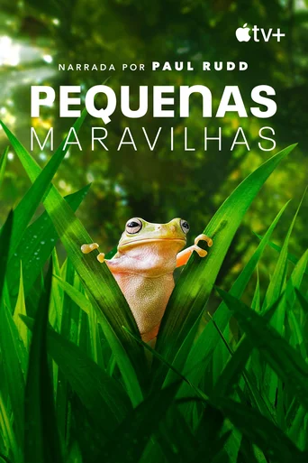 Pequenas Maravilhas - Temporada 2
