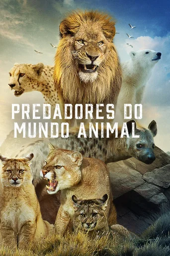 Predadores do Mundo Animal - Temporada 1