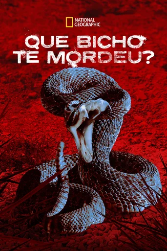 Que Bicho te Mordeu? - Temporada 1