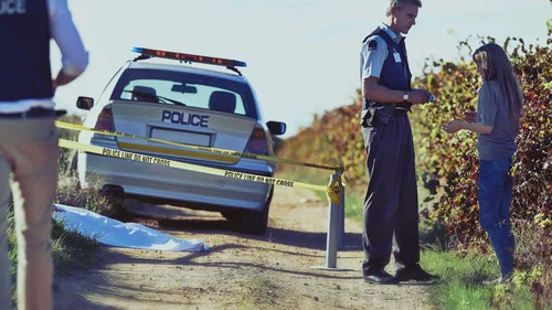 Quebra-cabeça Criminal