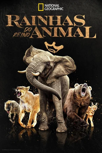 Rainhas do Reino Animal - Temporada 1