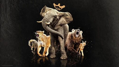 Rainhas do Reino Animal