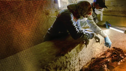 Segredos das Múmias (Legendado)