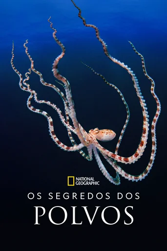 Segredos dos Polvos - Temporada 1