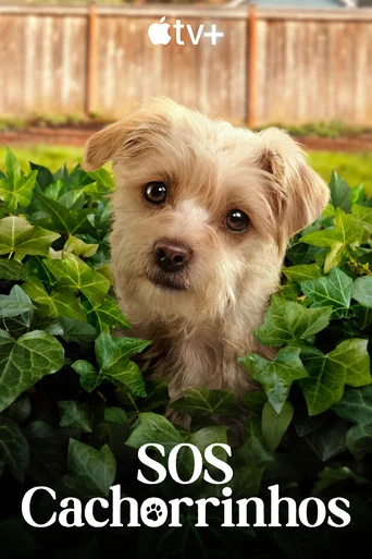 SOS Cachorrinhos - Temporada 2