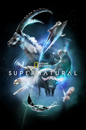 Super Natural - Temporada 1