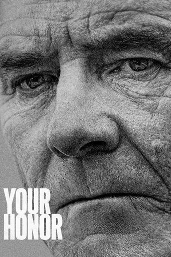Your Honor - Temporada 1