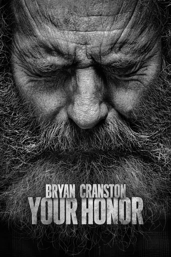 Your Honor - Temporada 2
